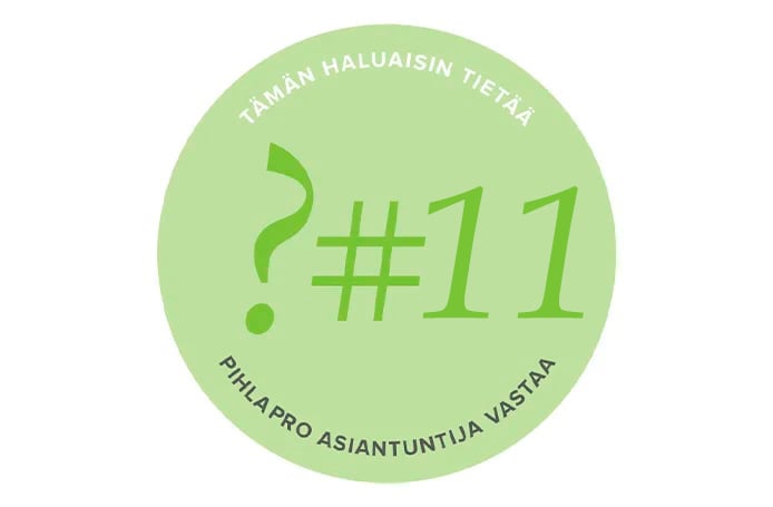 PihlaPROn asiantuntija vasta: Miksi ikkunan koolla on väliä?
